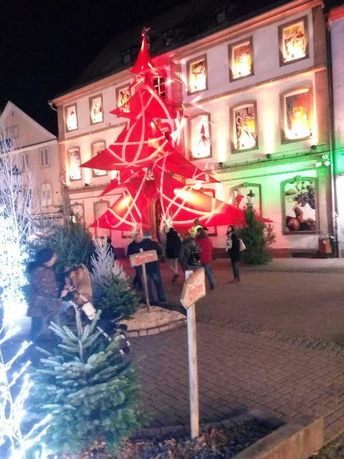 Home-Sweet-Home Haguenau Kültér fotó